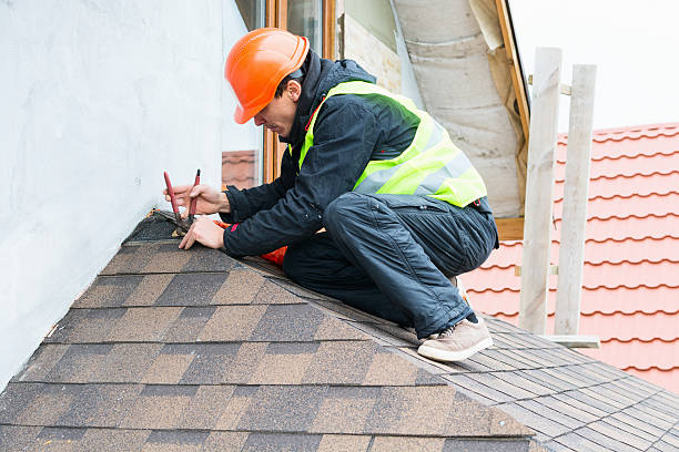 Best Metal Roofing Contractor  in Ada, MN